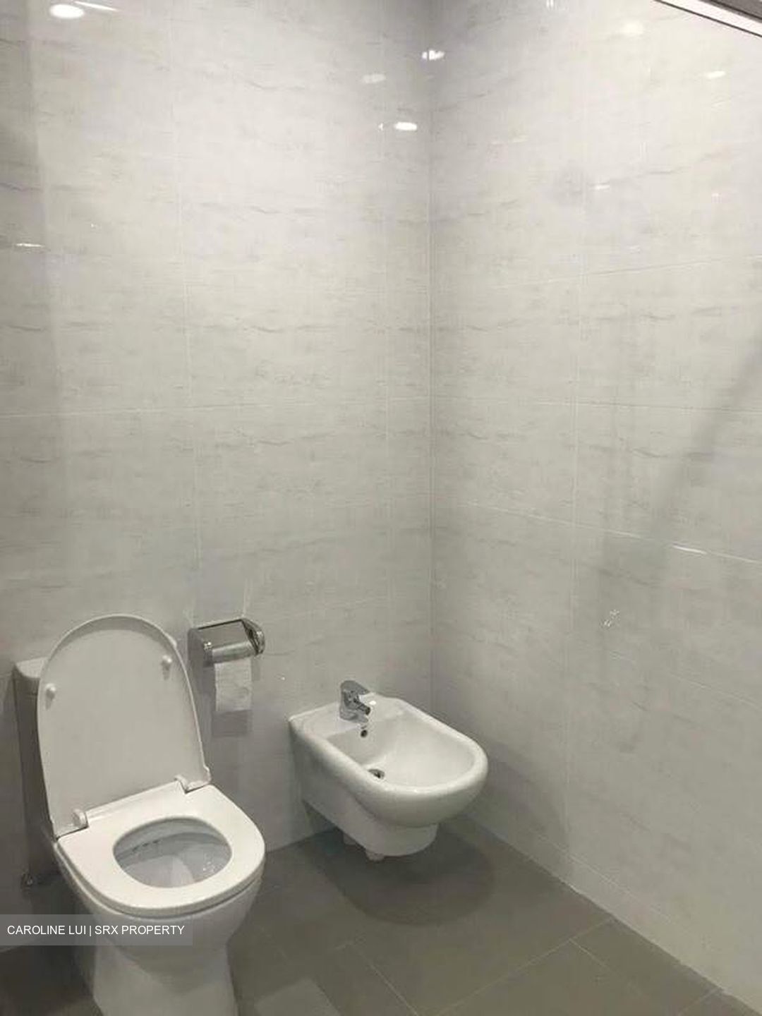 Spring Grove (D10), Condominium #581686351